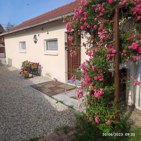 Maison d'hôtes Tranquillité&indépendance au coeur de la sologne à Lamotte-Beuvron Extérieur photo
